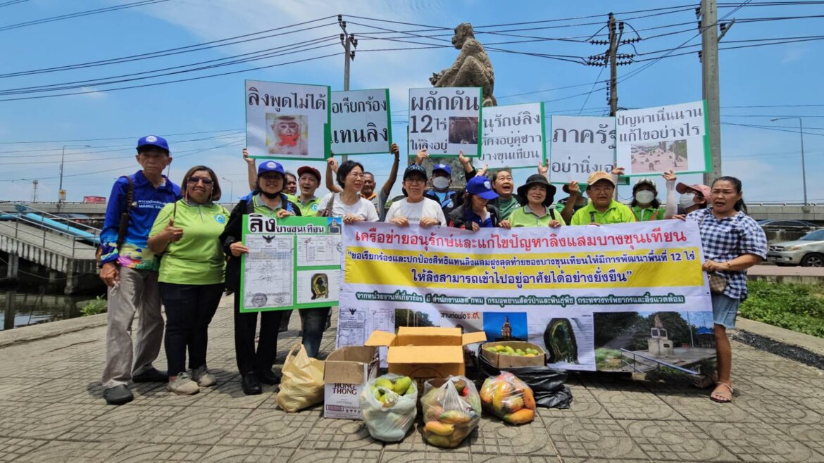 เครือข่ายอนุรักษ์และแก้ไขปัญหาลิงแสมบางขุนเทียน “ร้องสื่อ” วอนผู้ใหญ่และหน่วยงานที่ดูแล ทำที่อยู่อาศัยให้ลิงเป็นหลักแหล่ง หลังเคยยื่นหนังสือหน่วยงานภาครัฐ แต่ยังหลับเงียบเชียบ 😪😴